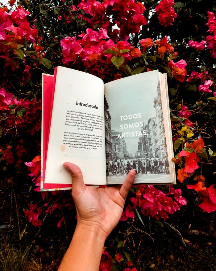 services-02 A hand holds an open book with text against a backdrop of vivid pink flowers.