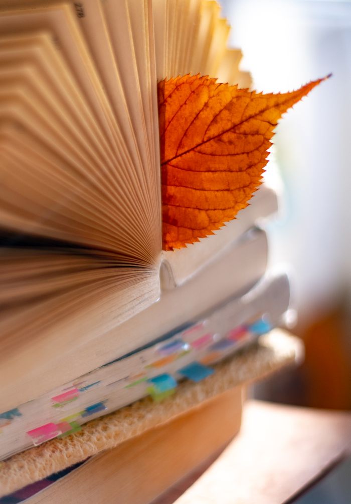 services-01 Close-up of a book with an autumn leaf as a bookmark, symbolizing fall reading.